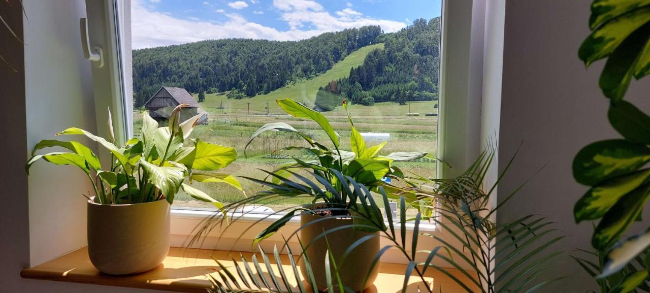 Prenocisca Miklavcic Hotel Nova Vas  Eksteriør billede